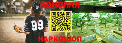 стаф Ногинск